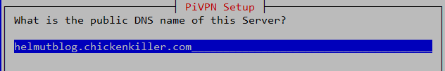 DNS Name
