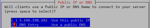Public IP or DNS